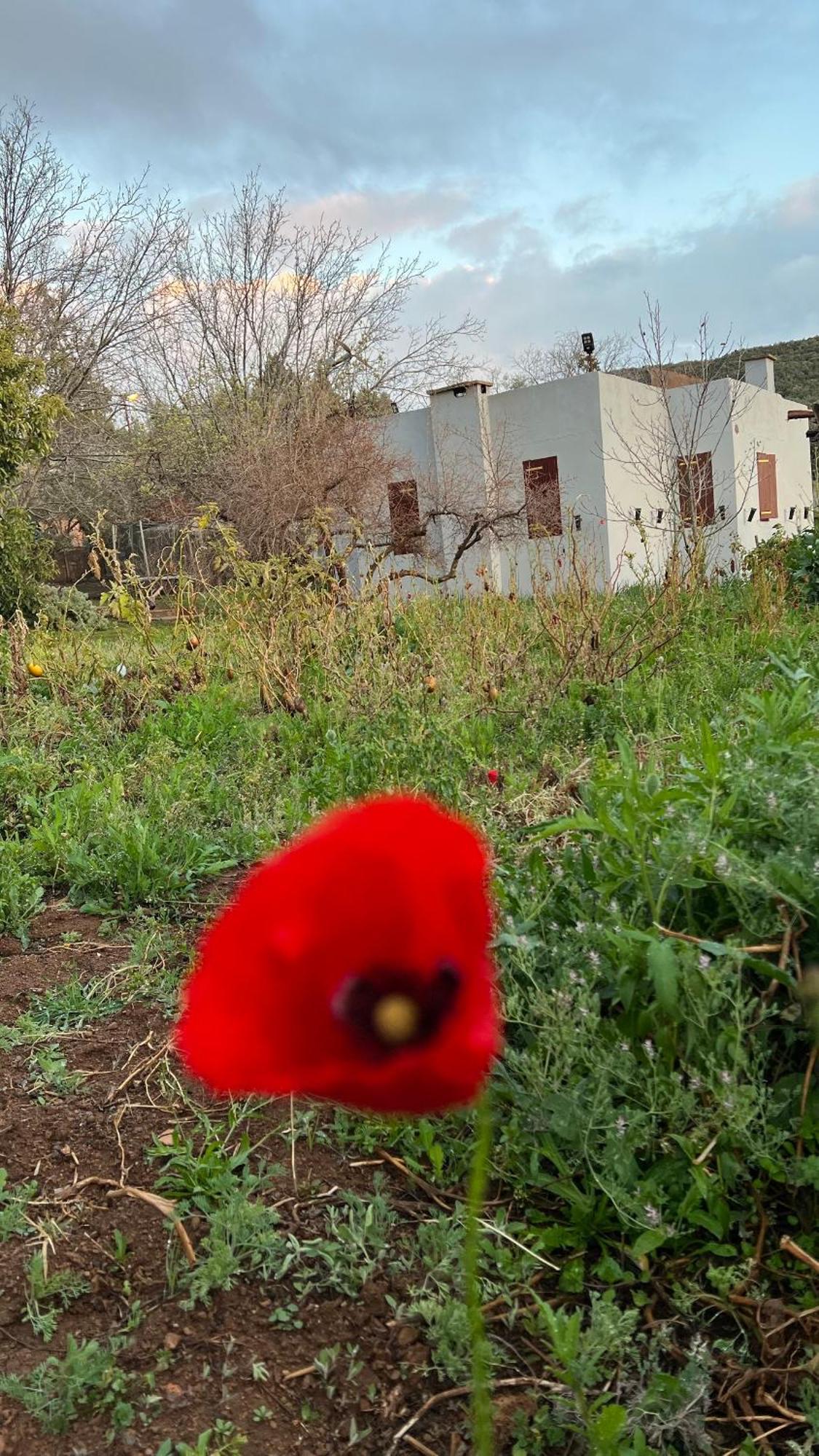 Villa Privee Reservee Aux Familles Aroggou Esterno foto