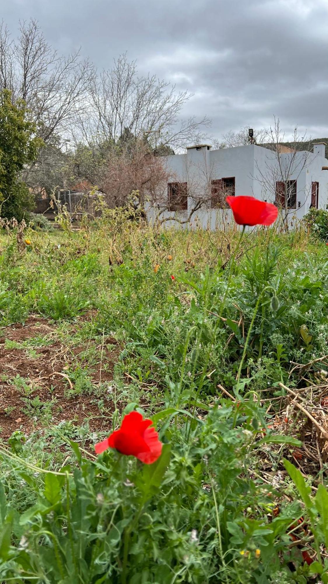 Villa Privee Reservee Aux Familles Aroggou Esterno foto